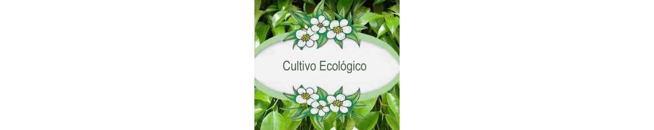 bio, cultivo biológico, agricultura ecológica, orgánico